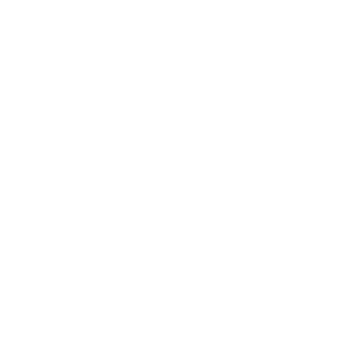 THE WOOD WORKS